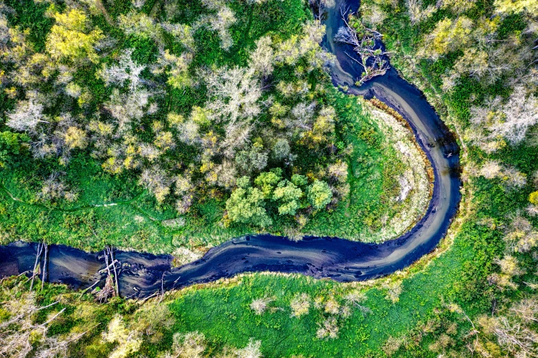 an aerial po shows the water and grass near the shore