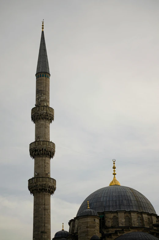 two domes, one with gold trim on top of a gray building