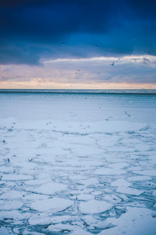 a beach covered in snow and lots of birds flying