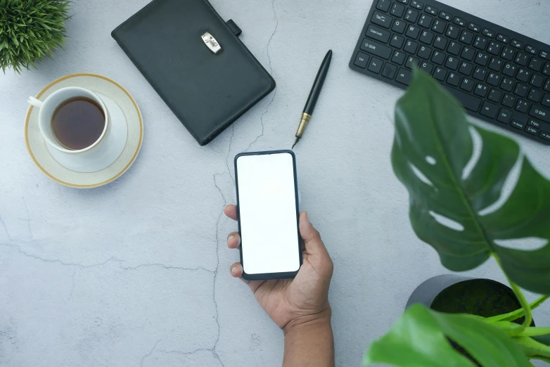 someone holding their phone on the ground next to some plants