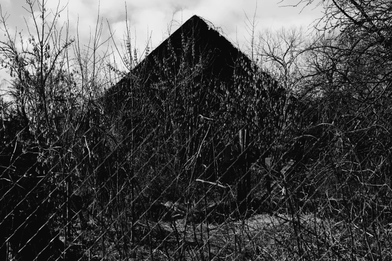 a black and white image of a house with tree nches in the foreground and sky in the background