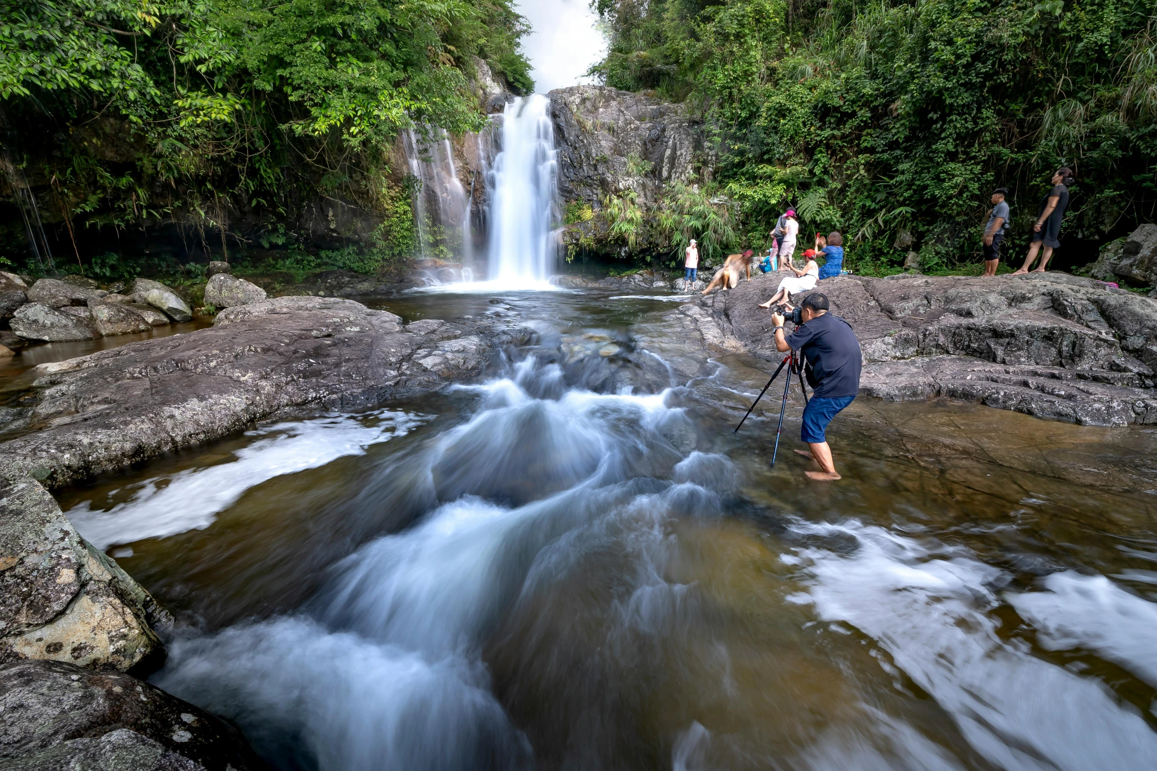 a woman stands on a rock and looks at a waterfall