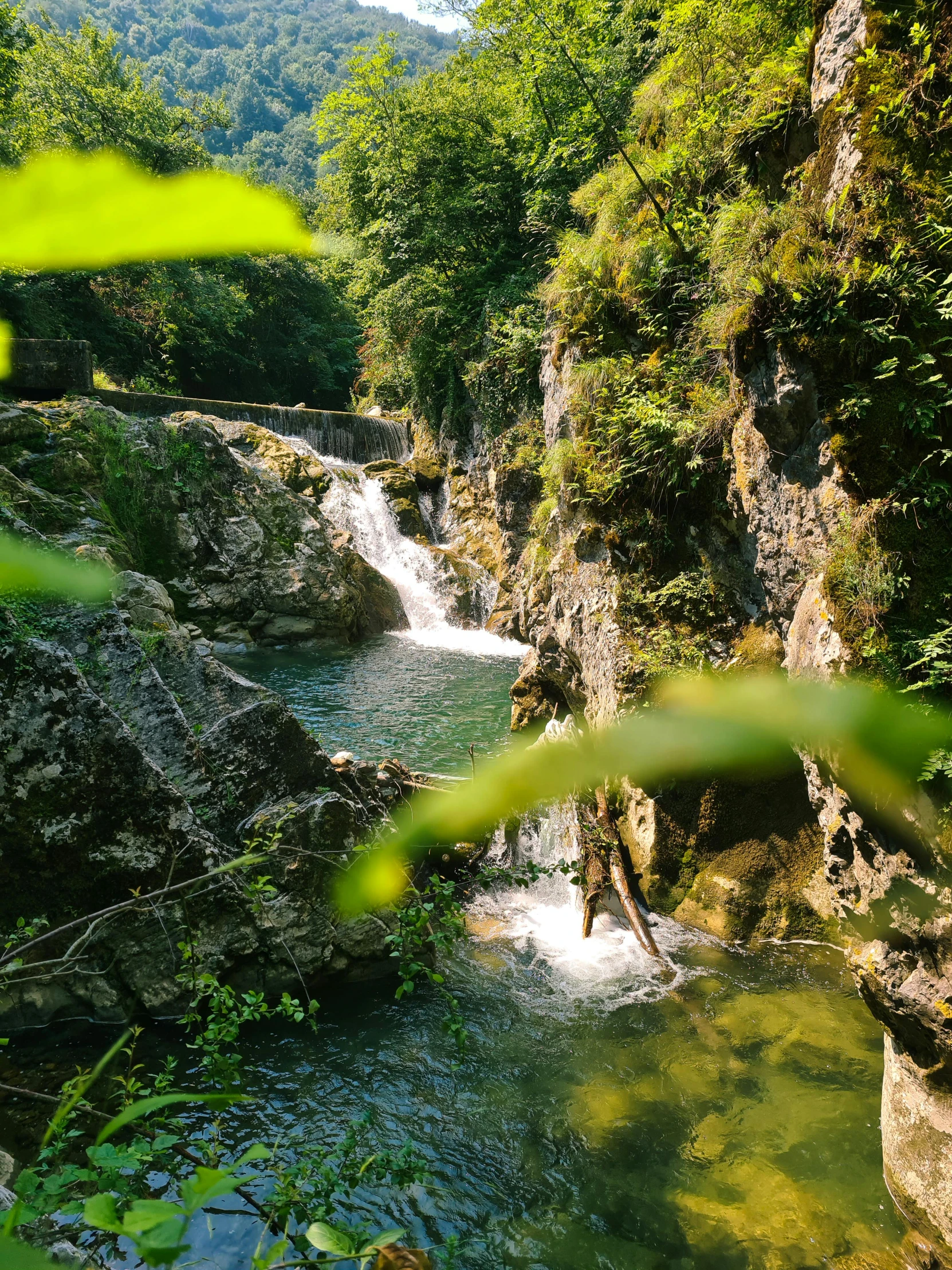 an image of water and rocks in the woods