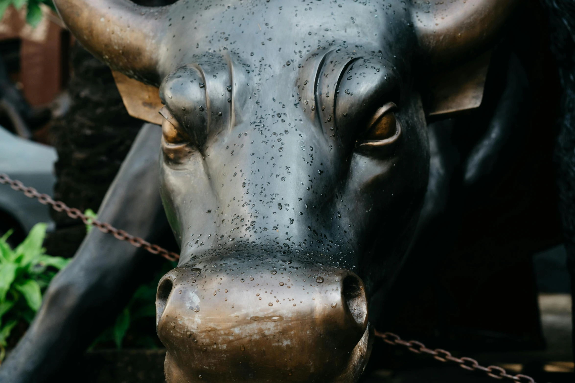 close up s of a statue of a cow's head