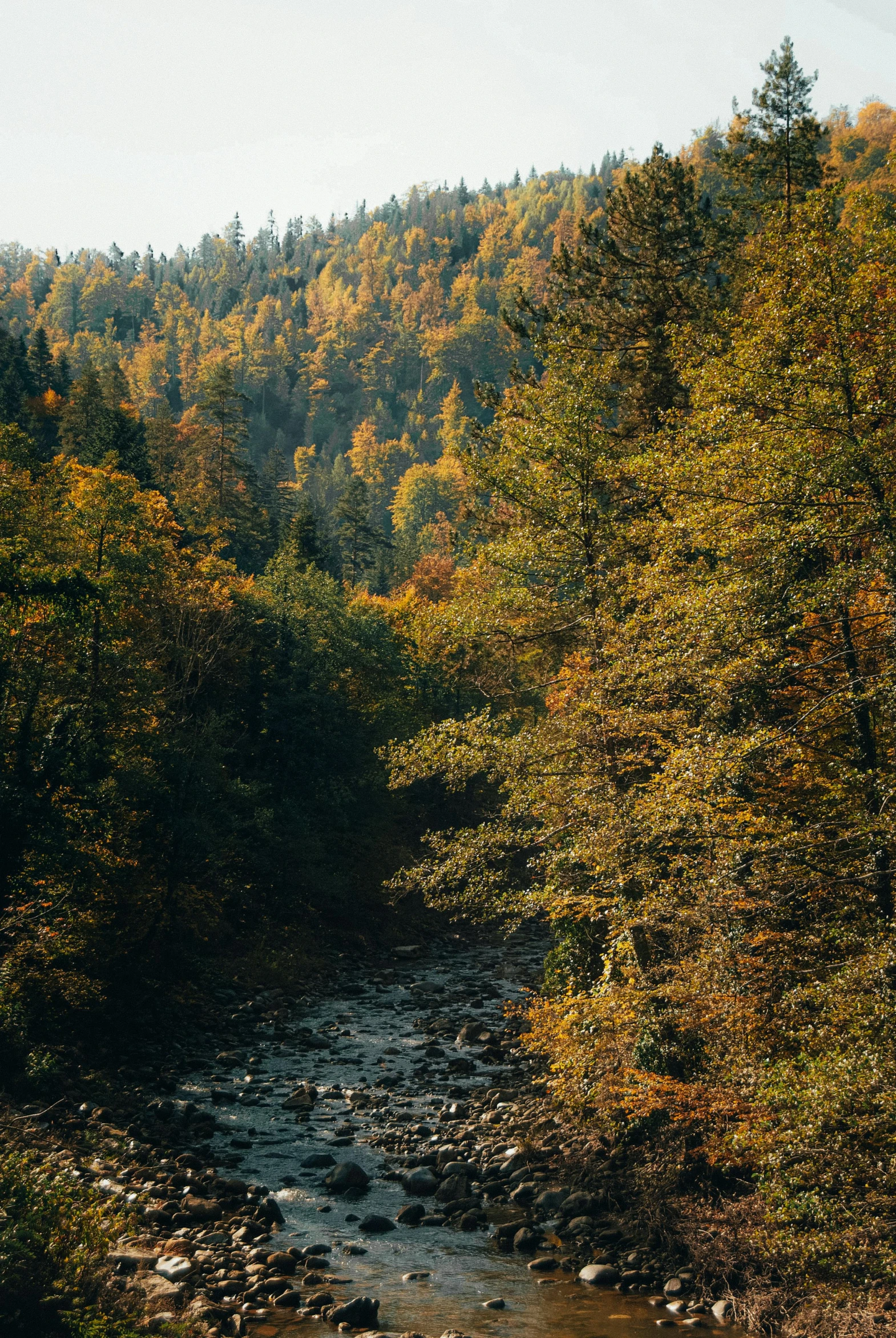 a river with small rocks running along the bottom