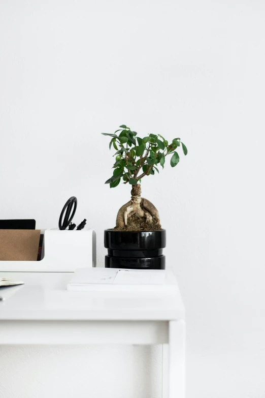 a desk with a computer, telephone and potted plant