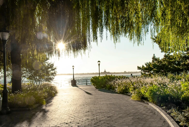 a park path with a view of the lake