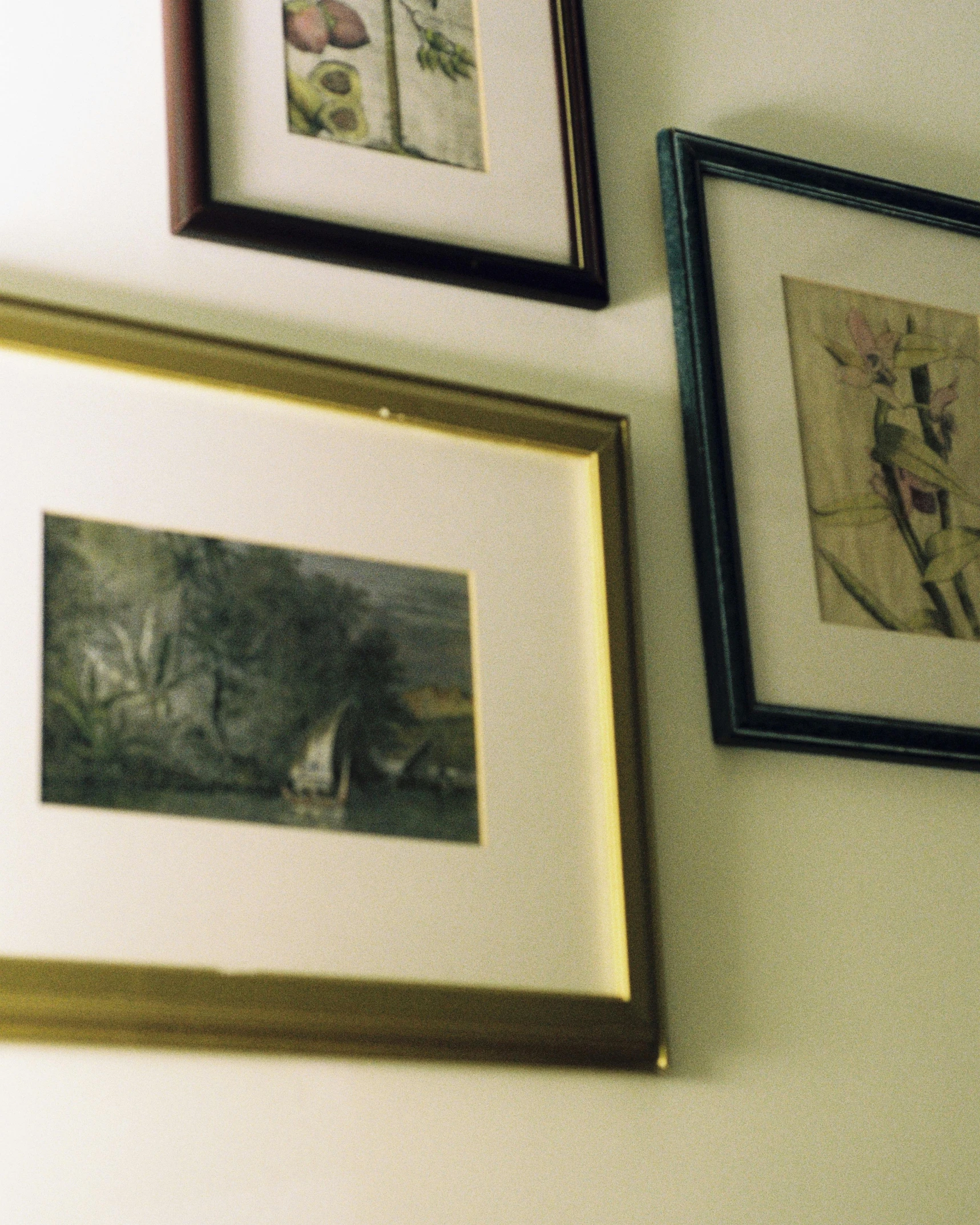 paintings of cats on a wall behind a mirror