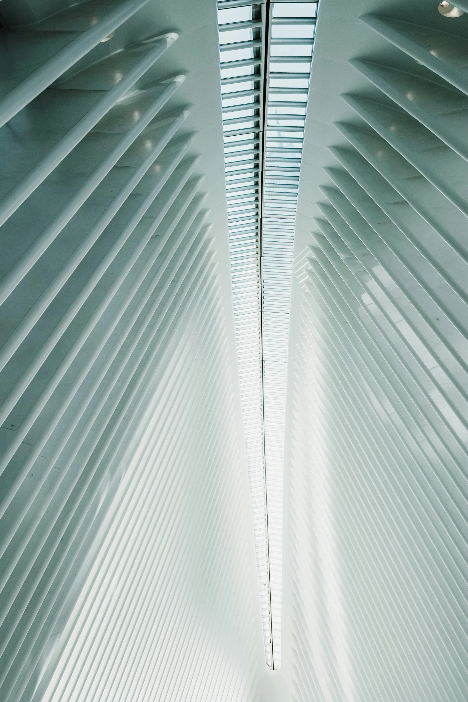 an architecture po with a hallway underneath a building