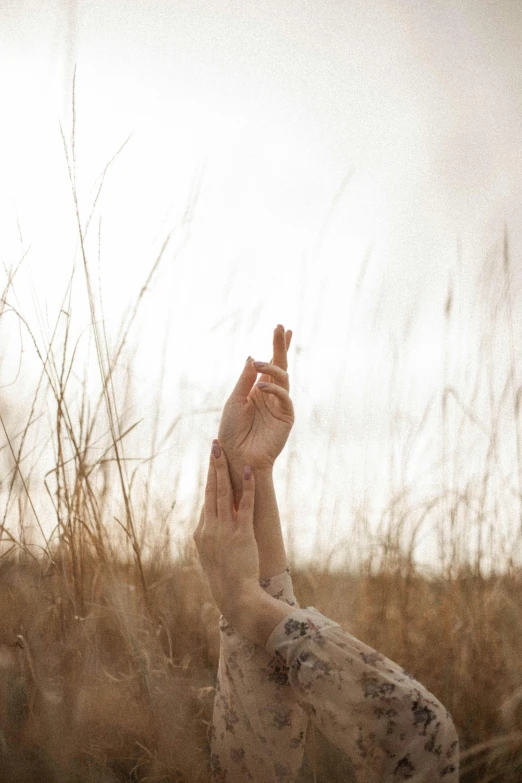 a bird is sticking its hand into the air