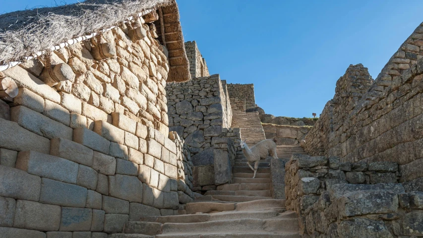 an old stone building with stairs between brick walls