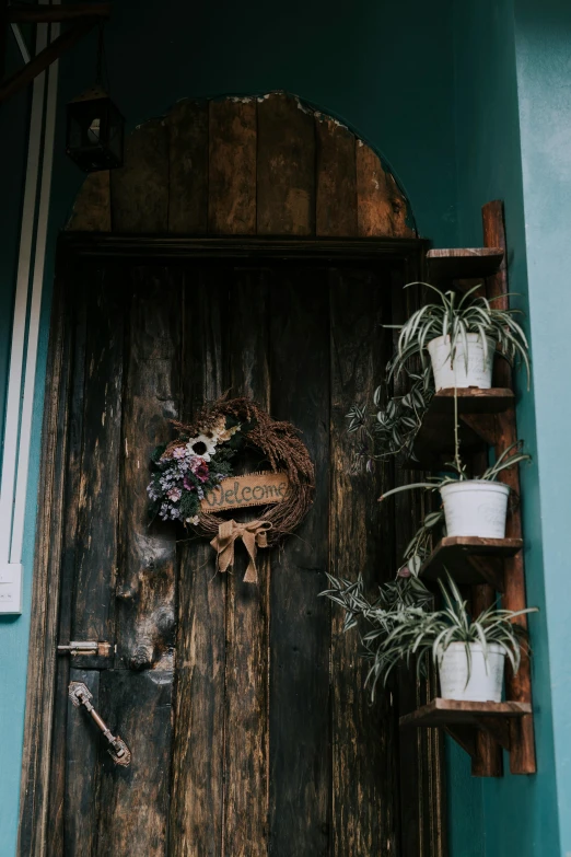 the front door to a house with potsted plants and plants