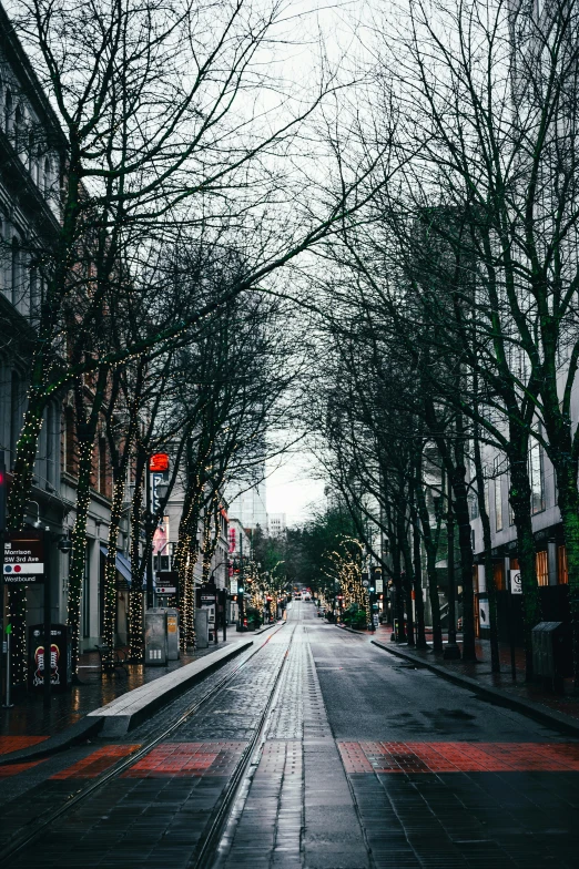 a picture of some trees and lights and a street