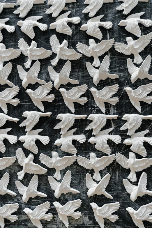 many white birds flying in the sky