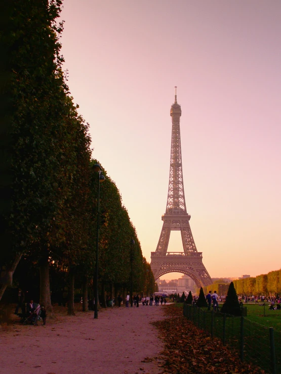 the eiffel tower towering over trees and in front of a grassy area