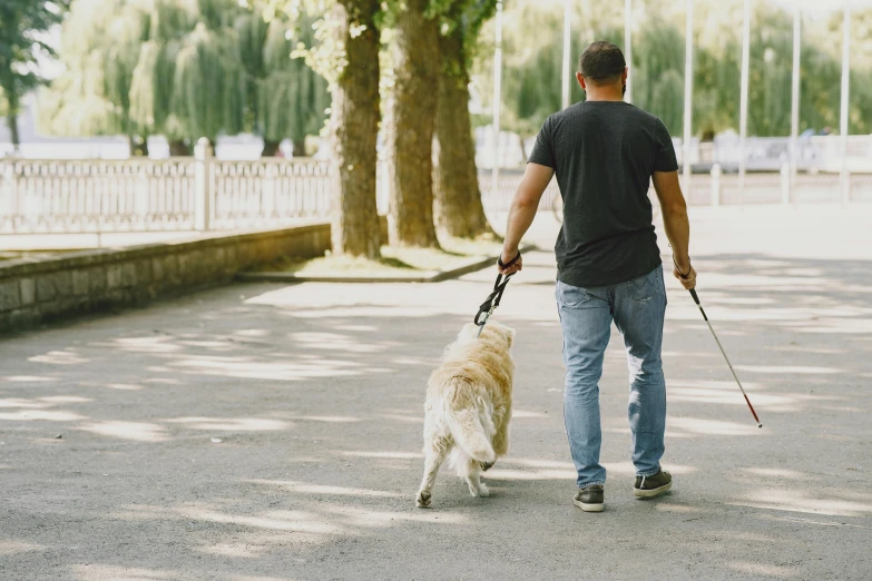 a man walking with his dog down the road