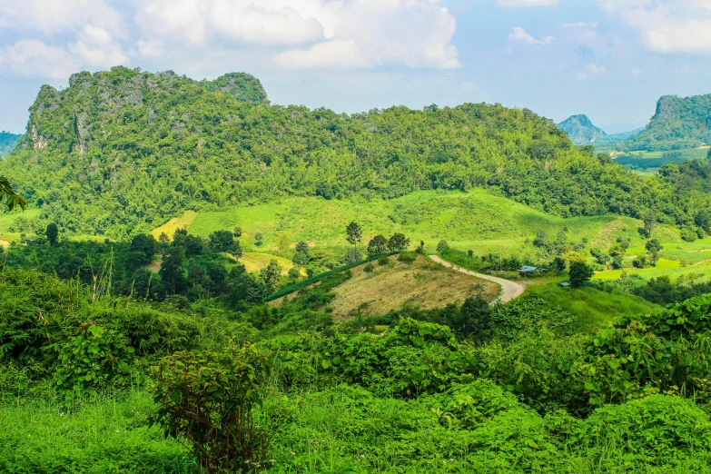 a lush green landscape with mountains and hills