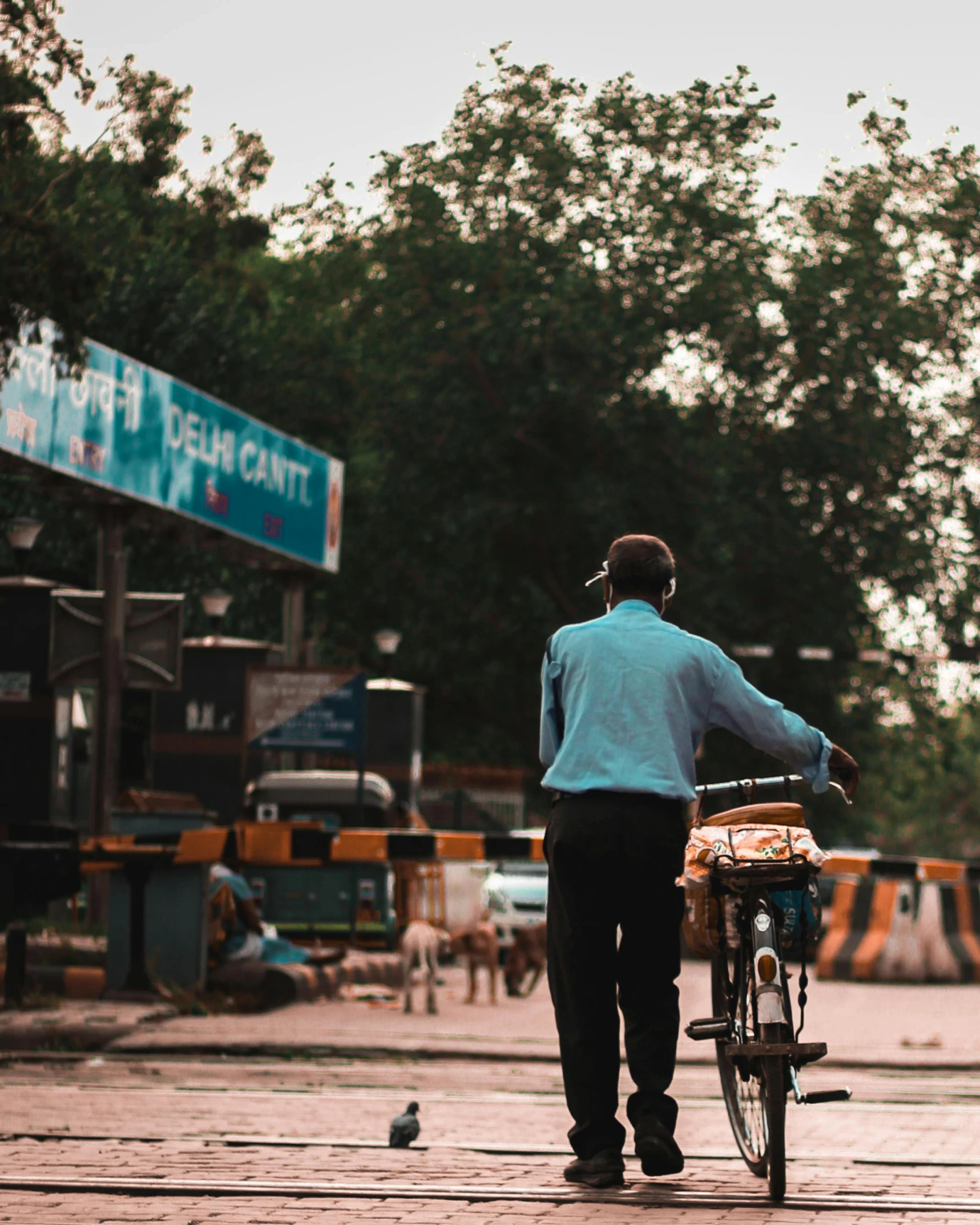 a man walking with his bicycle and his dog