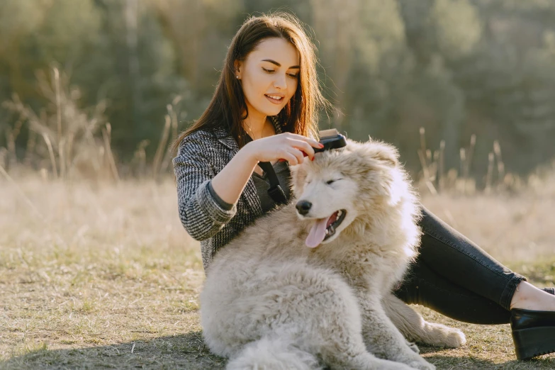 a woman brushing a white dog on the grass