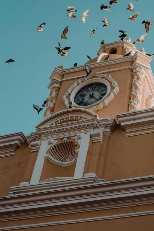 flock of birds flying around and around an old building