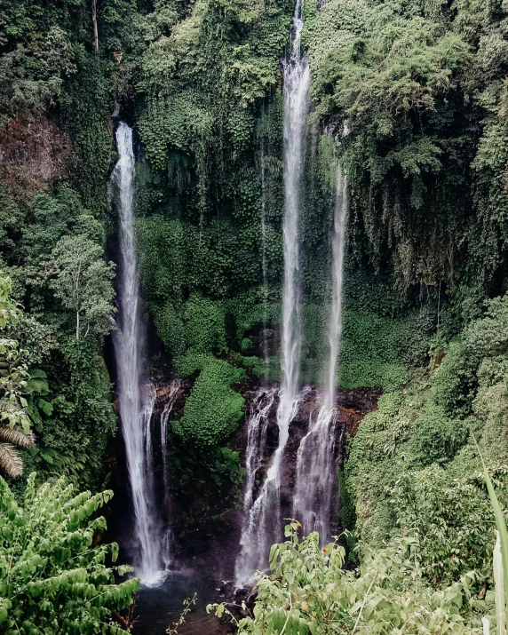 two waterfalls are surrounded by trees and foliage