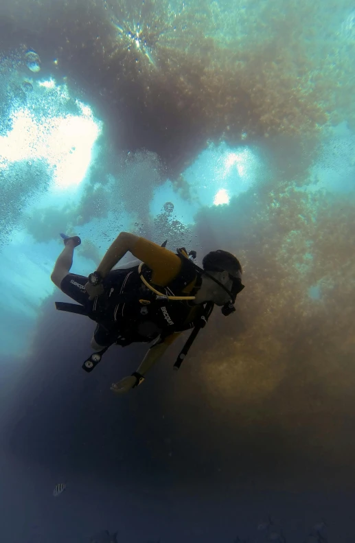 a person riding a snadk under the water