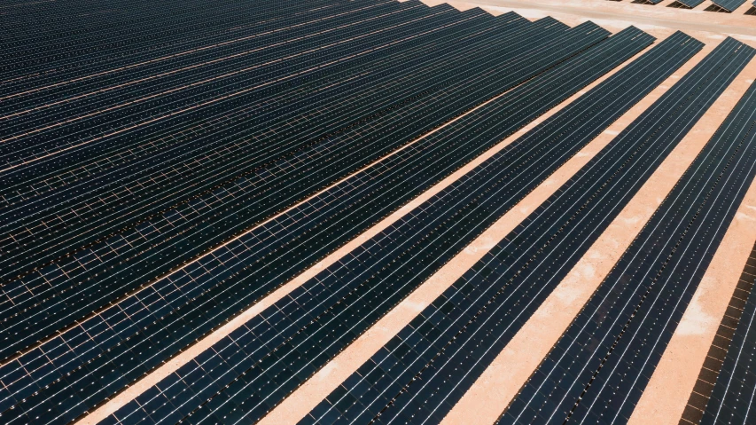 several rows of black and white solar panels in a field