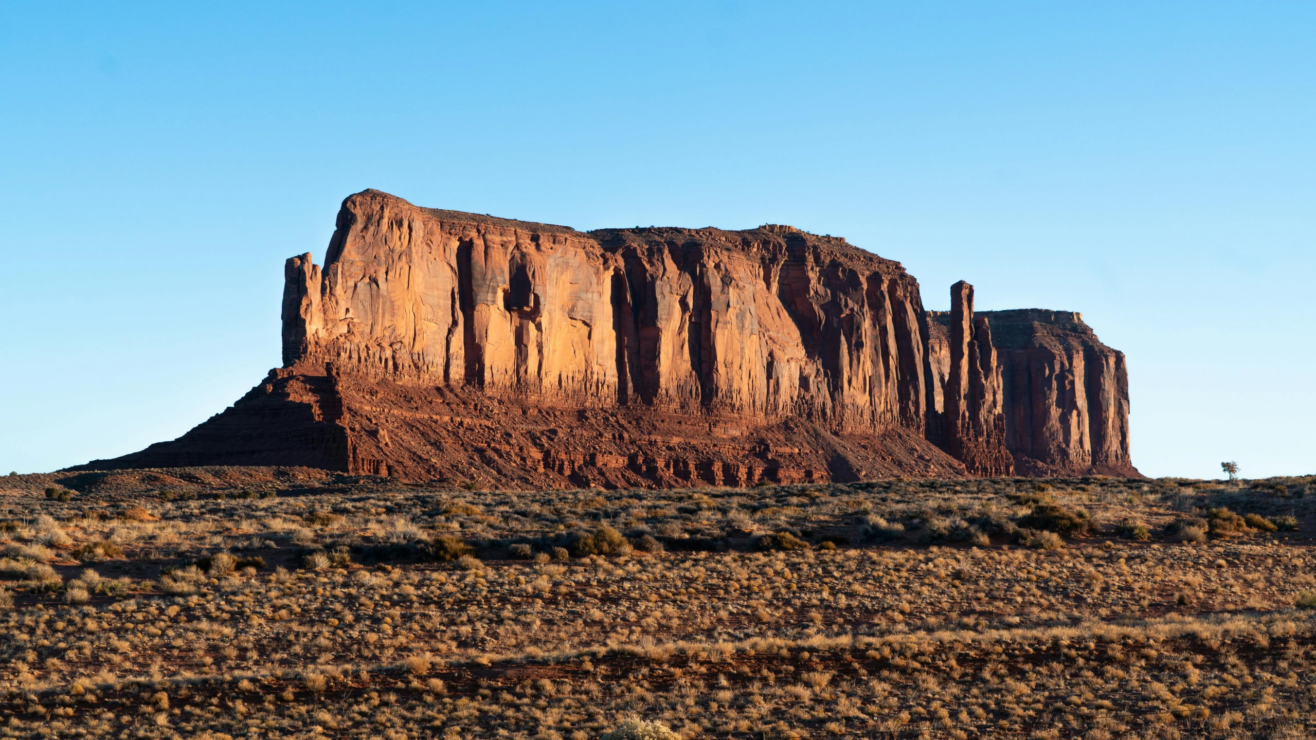 there is a large rock in the background