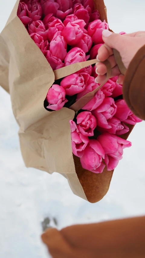 a person holds a bouquet of pink tulips