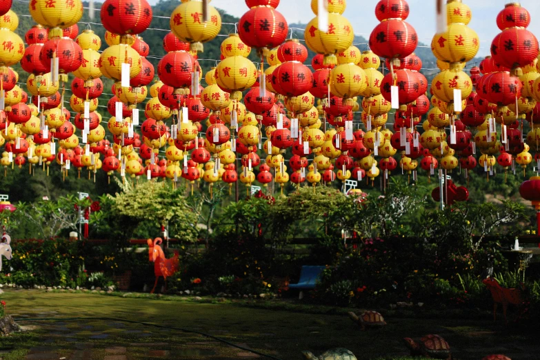 colorful lanterns hanging from wires above some bushes