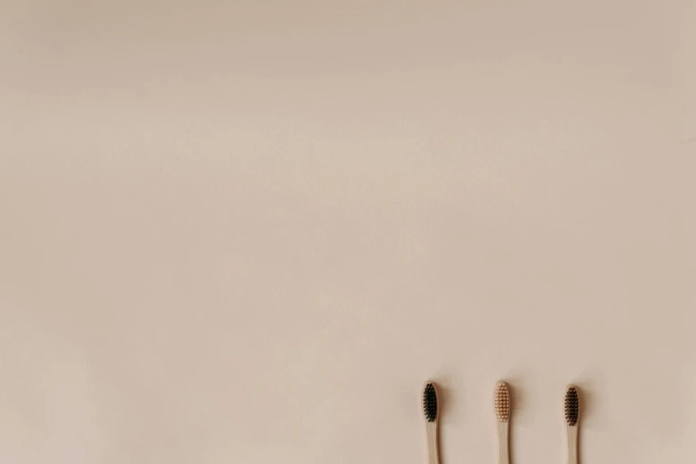 two toothbrushes and two other items hanging on a wall