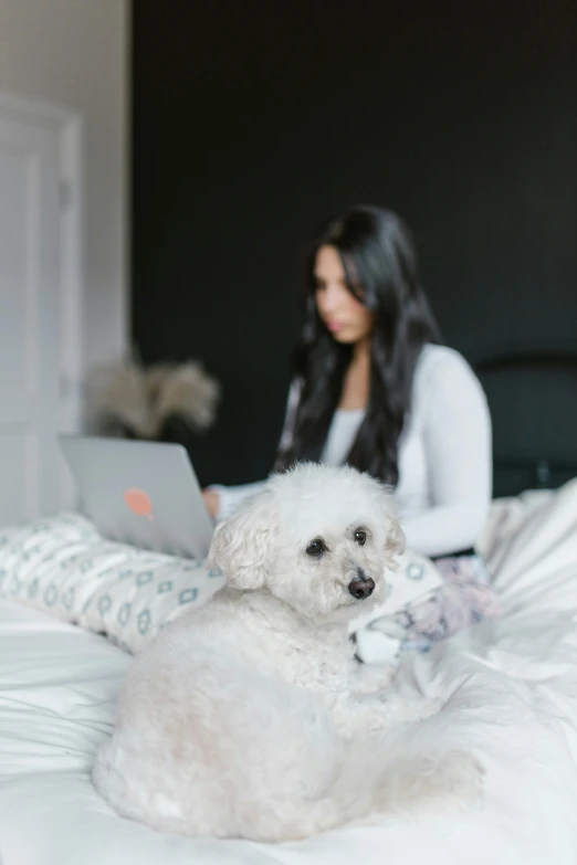 a woman sitting on a bed next to a white dog with a laptop