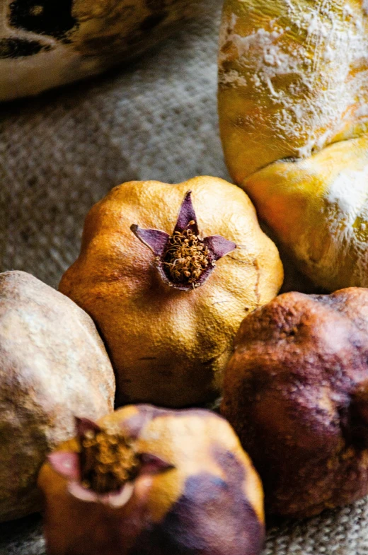 a group of fruits that are sitting on the floor