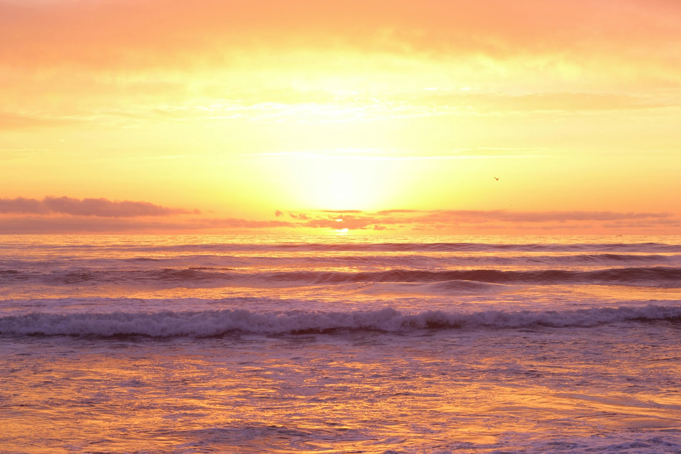 a lone surfer walking out into the ocean