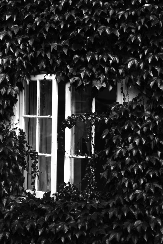 an old building with ivy all around