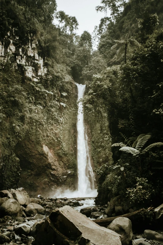 a large waterfall near a jungle is shown