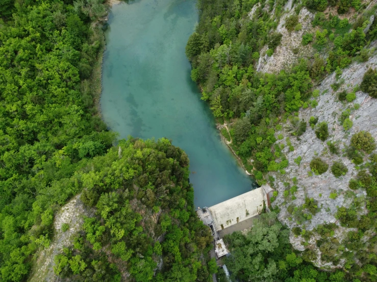 a body of water that is surrounded by trees