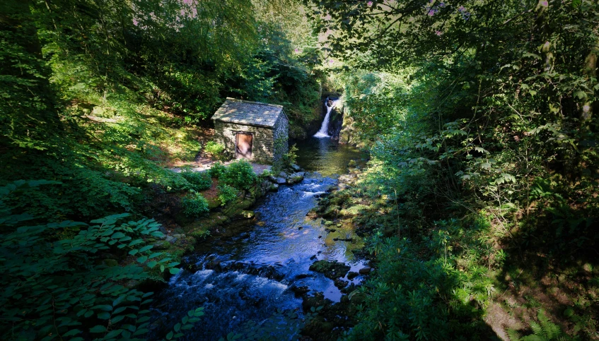 a creek surrounded by trees and a little building in the middle