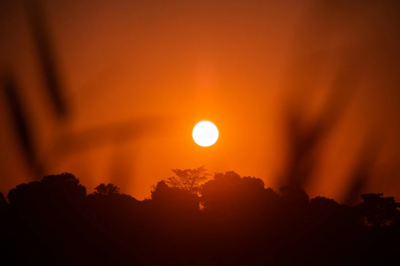 the sun setting behind some trees silhouetted in the orange glow