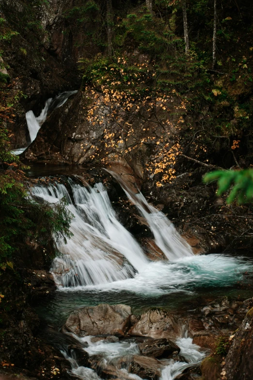 a stream flowing down from a rocky hill into the forest