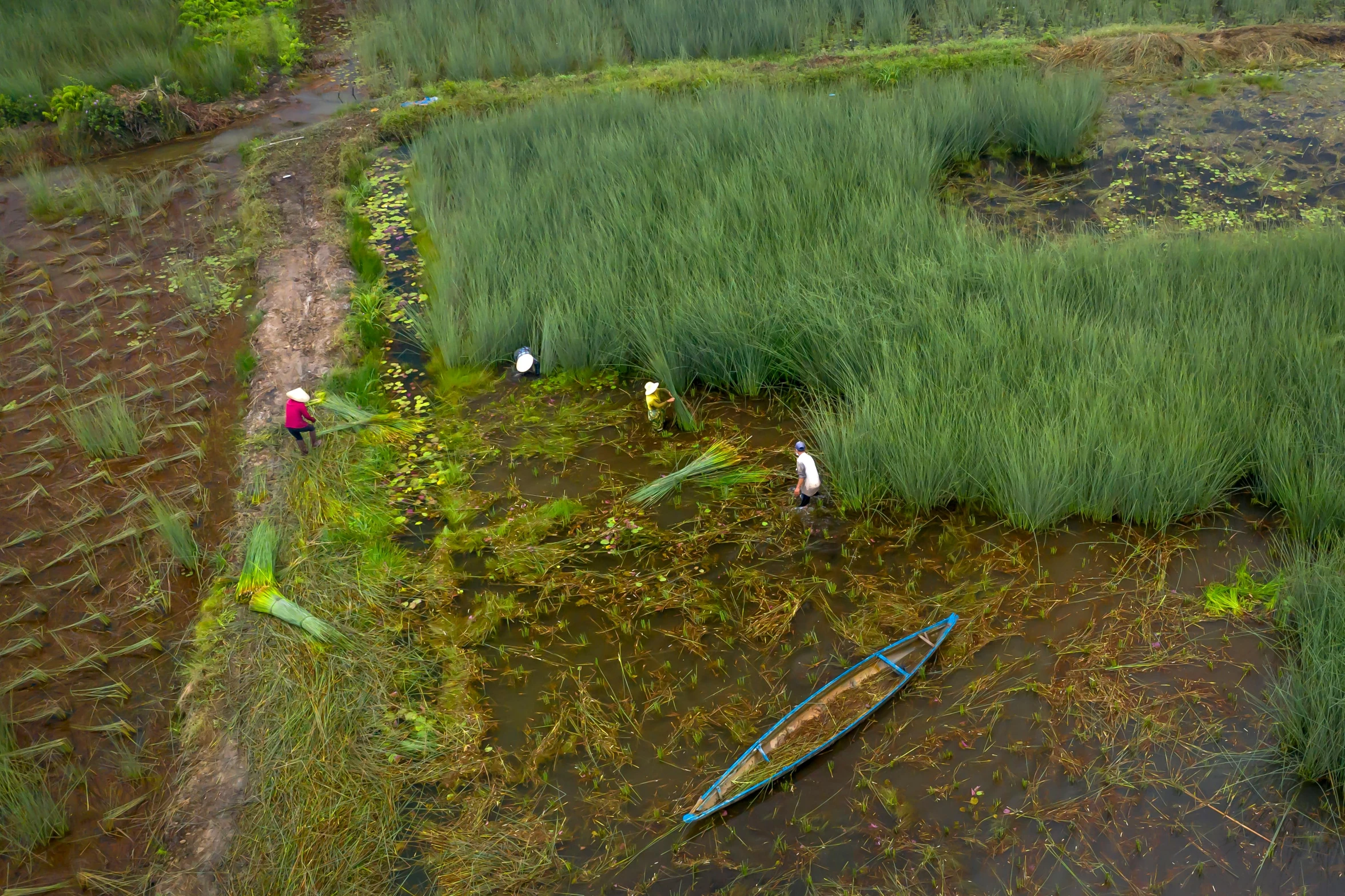 people in a field next to a canoe