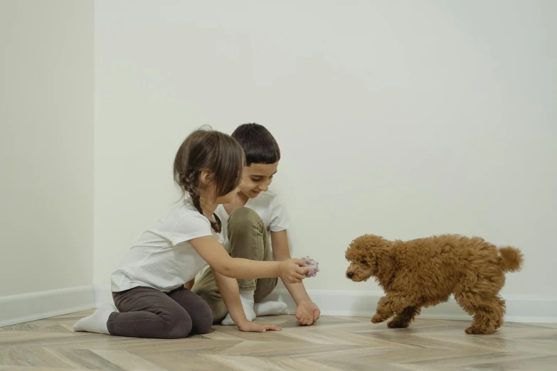 two s playing with a dog, while they are on the floor