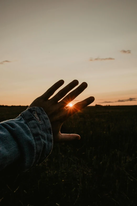 a hand reaching for the sun as it is rising