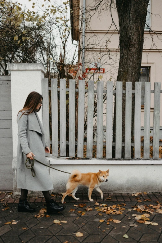 the girl in a coat is walking her dog