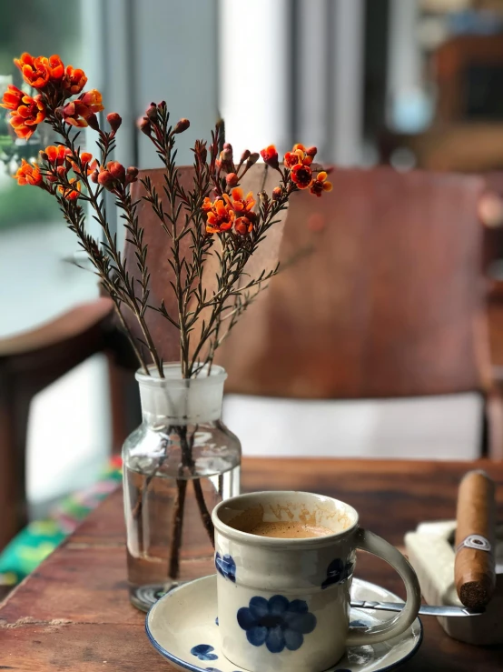 an orange flower in a vase and coffee cup