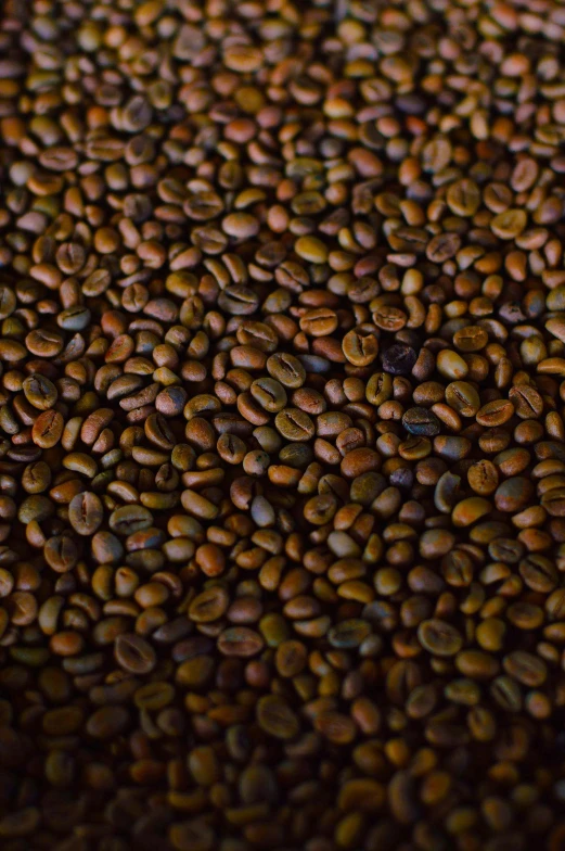 a pile of coffee beans on a brown surface