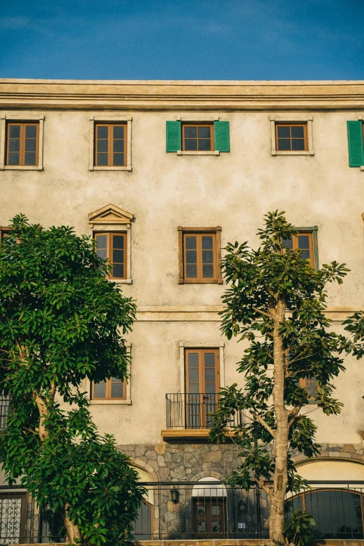 a large white building with windows and two trees