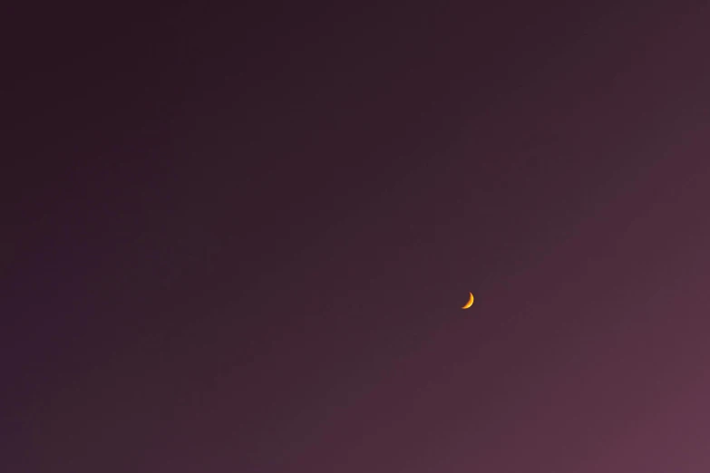 a half moon seen against the purple night sky