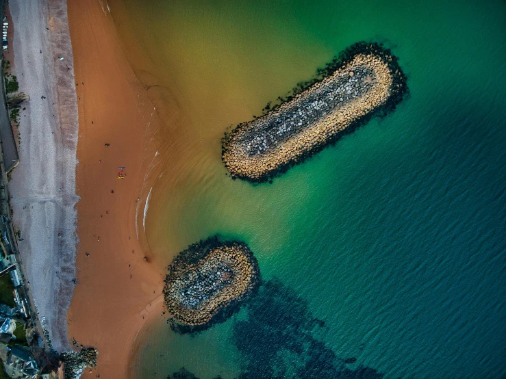 the top of two large, rounded logs are on a beach