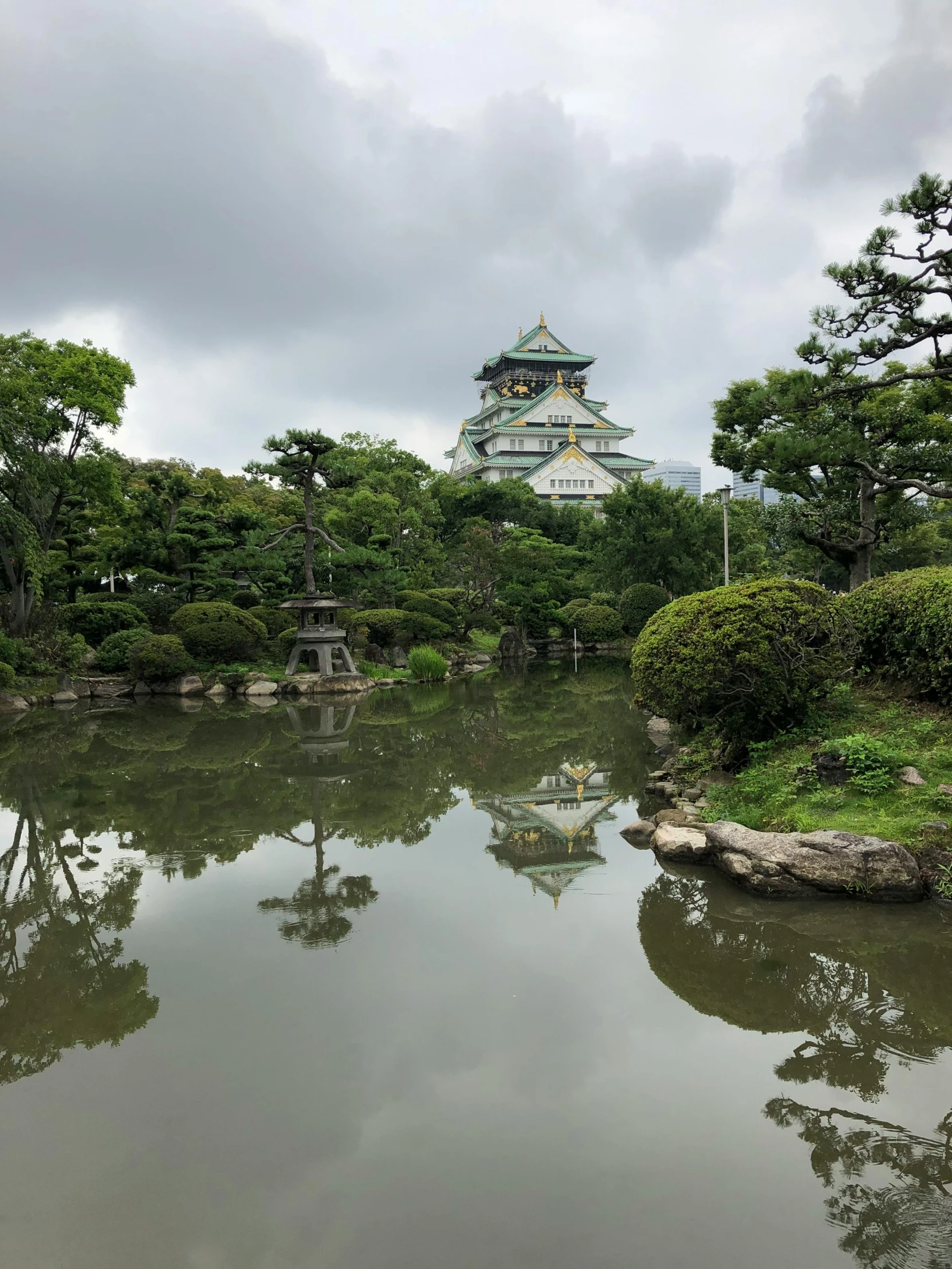 an area with various trees, plants and a small pond